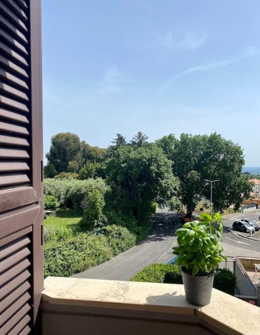 A Casa Di Tina Apartamento Genzano di Roma Exterior foto